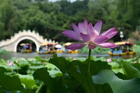 Zhongshan Park & Yuanmingyuan Ruins Park Tickets Admission Ticket to Yuanmingyuan Ruins Park