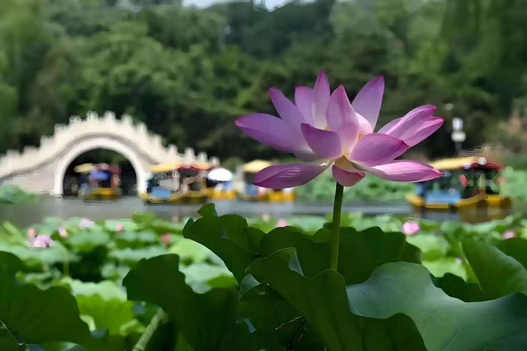 Zhongshan Park & Yuanmingyuan Ruins Park Tickets Admission Ticket to Yuanmingyuan Ruins Park