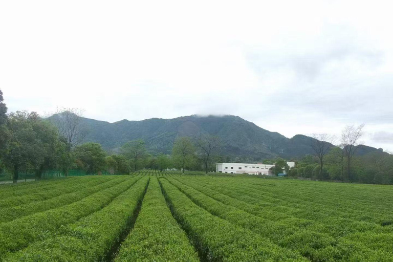 Guilin: Private Full-Day Sightseeing Tour