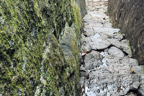 From Colombo: Cave Temples, Jungle Trek & Waterfall Swim