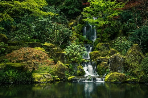 Odkryj cuda natury: odkrywanie 4 najlepszych wodospadów