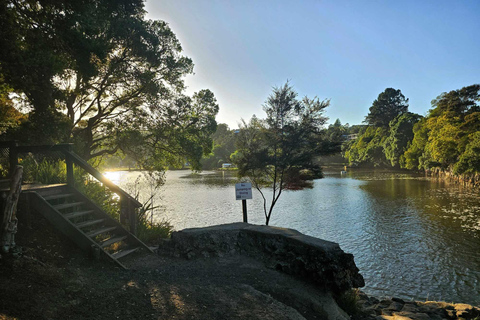 Bahía de las Islas - MiniexcursiónBahía de las Islas - Mini tour