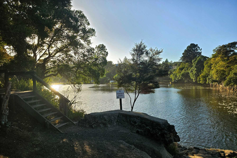 Bahía de las Islas - MiniexcursiónBahía de las Islas - Mini tour