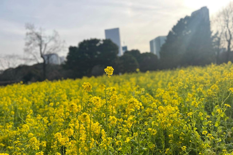 Tóquio : Excursão guiada a pé pelo jardim japonês em Hama RikyuExcursão a pé guiada nos Jardins de Hama Rikyu