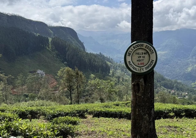 Pekoe Trail 1-5: Guided 7-Day Trek with Hotels & Transfers