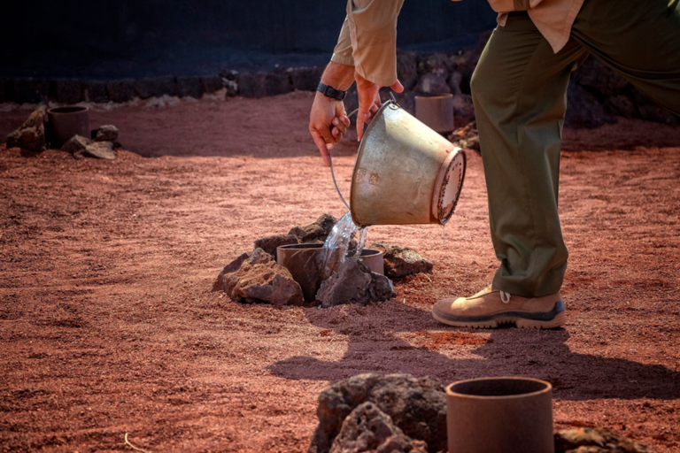 Lanzarote: Timanfaya National Park Volcanic Craters TourSpanish - Timanfaya National Park Tour