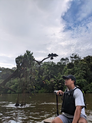 Tortuguero: Franse tochten - Kanoën in het nationale park, Tortuguero
