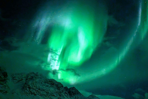 Tromsø: Private Northern Lights Chase with a Local Guide