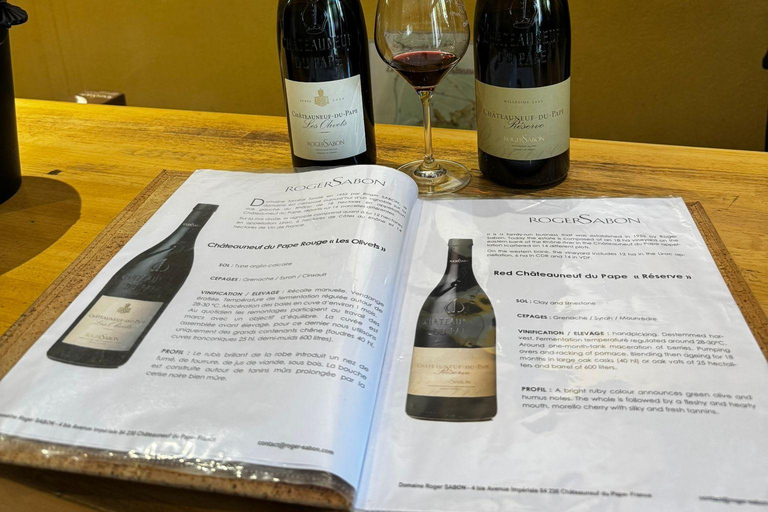 Châteauneuf-du-Pape: Full-day wine tour with sommelier