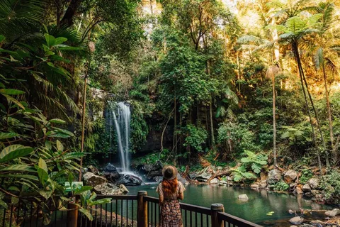 Vom Gold Coast Hop-On/Hop-Off-Bus zum Tamborine Mountain