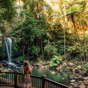 Gold Coast: Hop-on Hop-off Bus to Tamborine Mountain