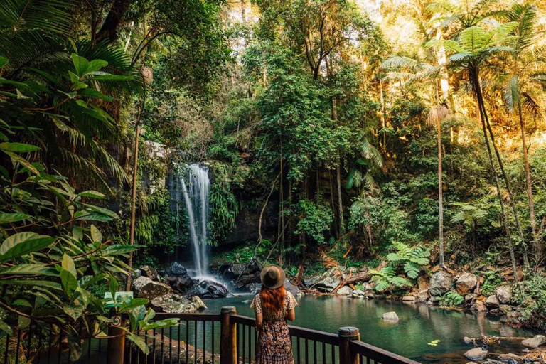 Brisbane: autobus hop-on hop-off do Tamborine Mountain