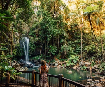 From the Gold Coast Hop on Hop off Bus to Tamborine Mountain