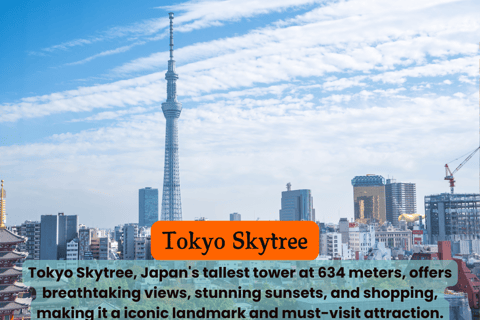 Tokyo Unforgettable Private Tour for Family(up-to 6 persons)