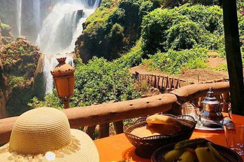 Agadir: Paradise Valley & Imouzzer Waterfall Day Tour