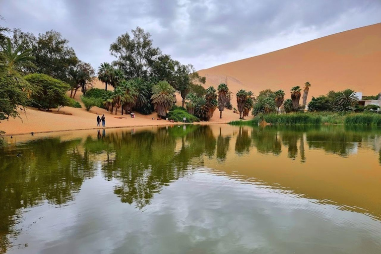 Lima: Trasferimento + Paracas + HuacachinaLima: Trasferimento + Paracas+ Huacachina