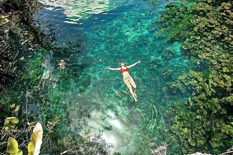 Tulum: Excursão ao Cenote Tankah com tirolesa e almoço maia