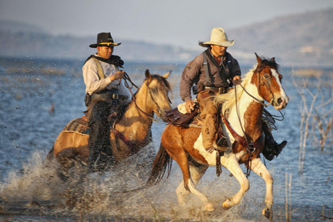 Ulaanbaatar: Guided City Tour with Private Transport