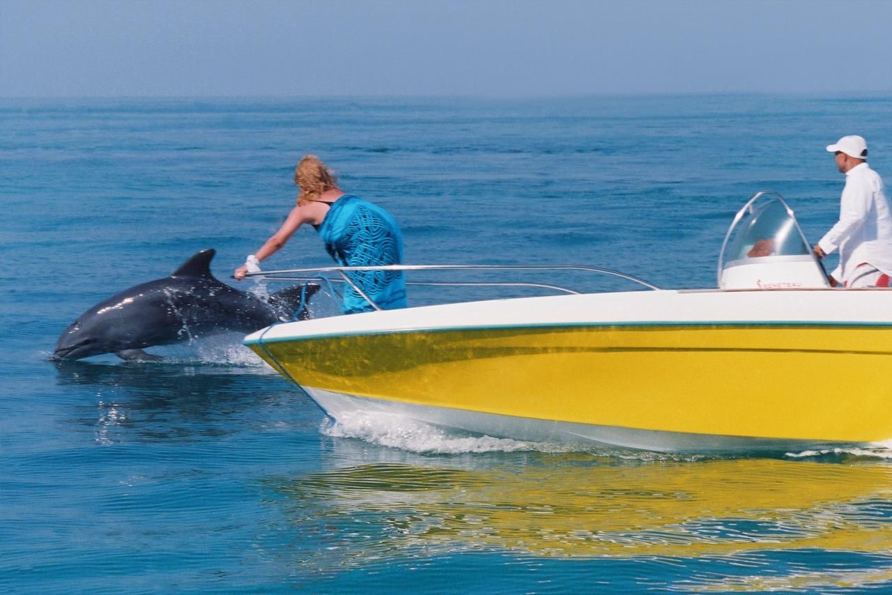 Djerba: Eine atemberaubende Bootsfahrt zu den Delfinen