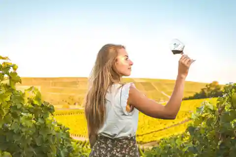 Au départ de Paris : Visite privée des vins de Sancerre avec 10 dégustations et déjeuner