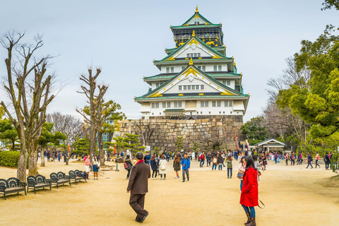 Dagsutflykt till Fushimi Inara, Nara och Osaka från Kyoto