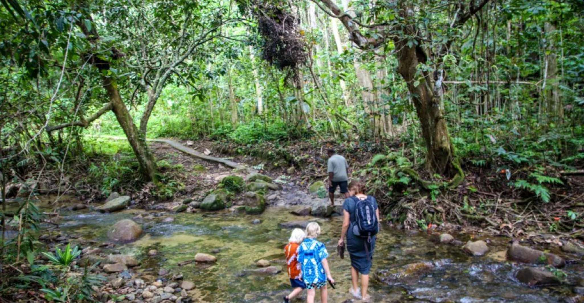 Tropical Rainforest Waterfall and Natadola Beach Tour - SuiteTrails