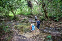 Tropical Rainforest Waterfall and Natadola Beach Tour - Hizvo