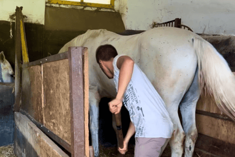 Sibiu: Țara Oltului and Țara Făgărașului Day Trip