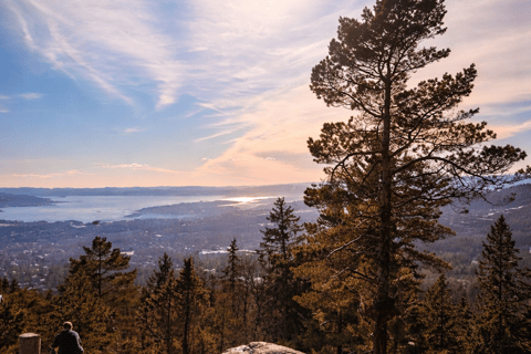 Oslo’s Most Beautiful Fjord Views - light hike version