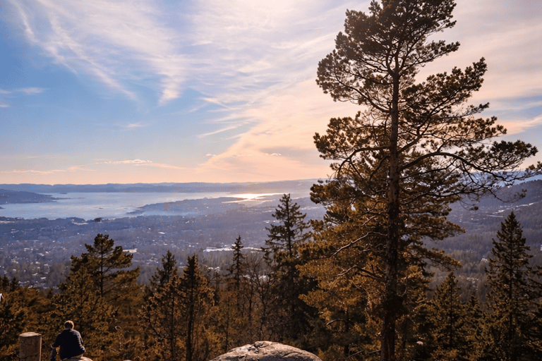 Oslo’s Most Beautiful Fjord Views - light hike version