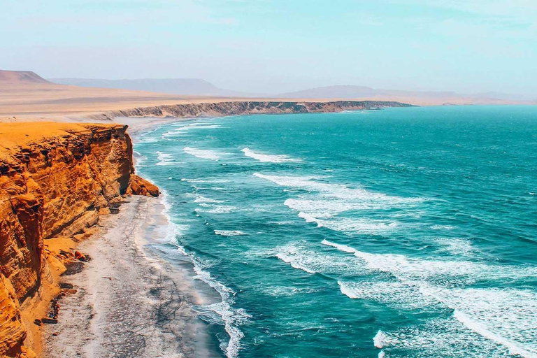 Depuis Lima : 1 journée Îles Ballestas + Oasis de Huacachina