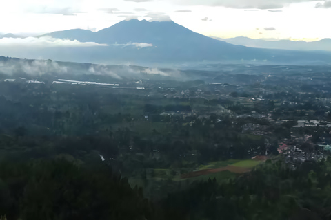 Excursion à Jakarta : Parapente au sommet d'une montagne et plantation de thé