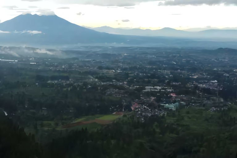 Excursion à Jakarta : Parapente au sommet d'une montagne et plantation de thé