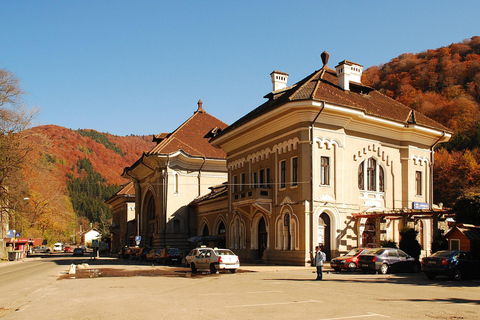 Bucharest to Sinaia Day Trip: Peles Castle & Scenic Gondola