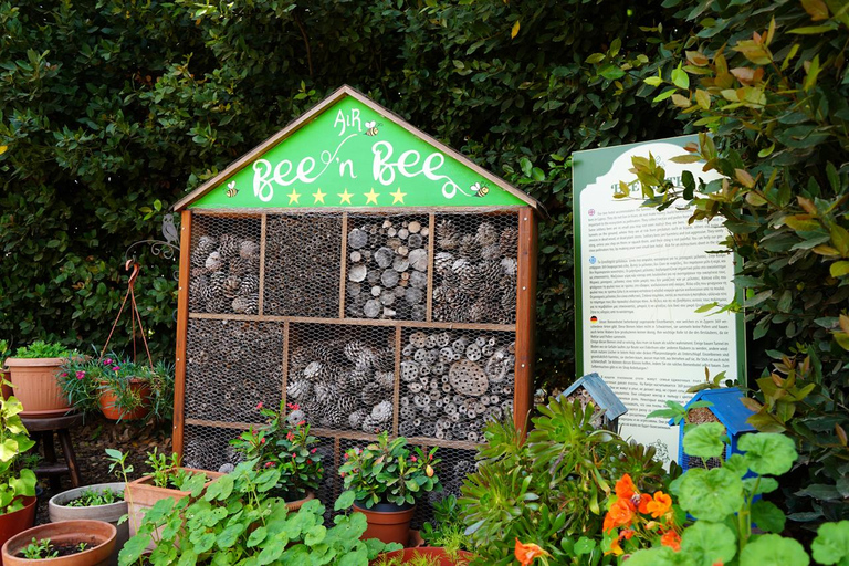 Cyprus: Healing Herbs and Maze in Cyherbia Botanical Park