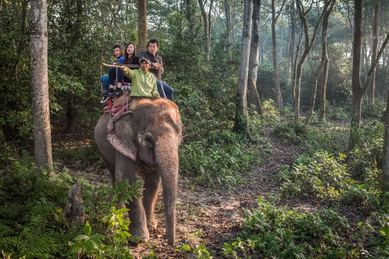 3 jours de safari dans la jungle de Chitwan - formule tout compris3 jours de safari dans la jungle de Chintwan - formule tout compris