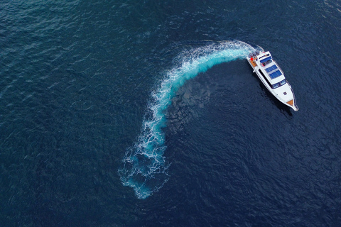 Labuan Bajo: Komodo Islands Speedboat Tour