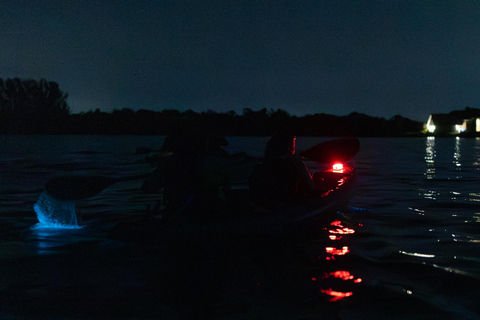 Cocoa Beach/Merritt Island:Bioluminescent kayak tour Single Kayak