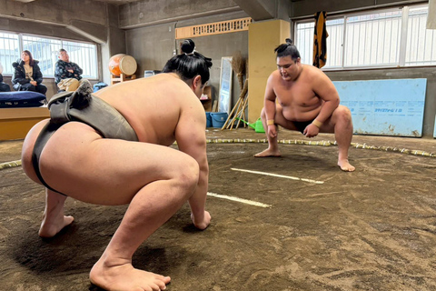 Nagoya: Authentic Sumo Morning Practice (July Match)