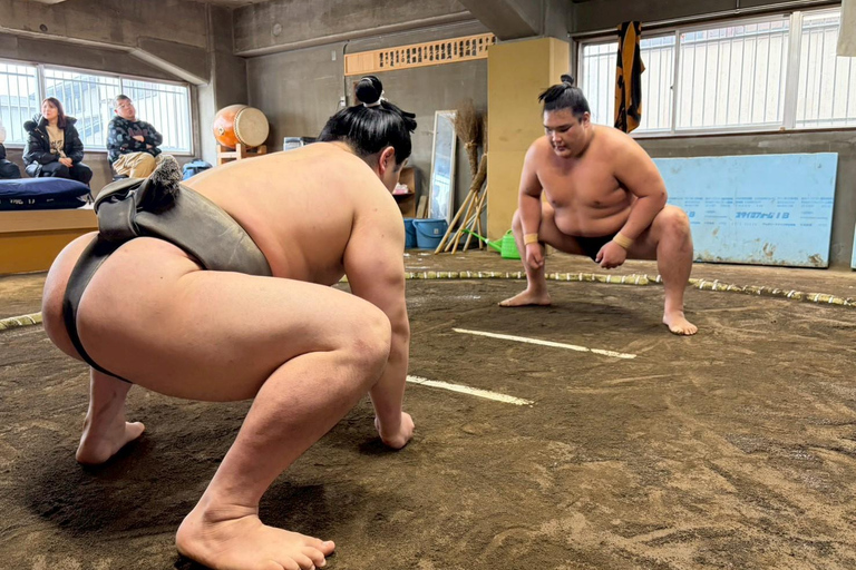 Nagoya: Authentic Sumo Morning Practice (July Match)
