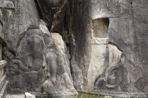 Anuradhapura &amp; Aukana: Privat dagstur från Sigiriya