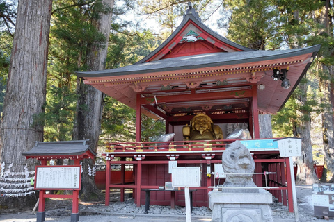 De Tóquio: Viagem privada de 1 dia a Nikko, Patrimônio Mundial