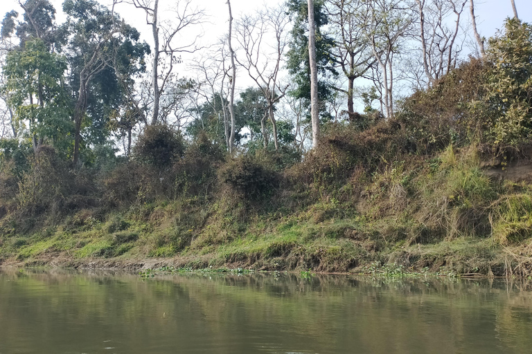 From Kathmandu: 4-Day Chitwan National Park Tour