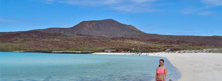 Île Coronado et excursion de plongée avec tuba