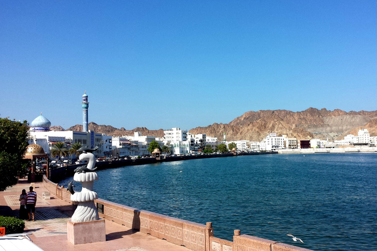 Muscat: Sightseeingtur med stor buss Hop-On Hop-Off48-timmars Hop-on Hop-off sightseeingtur