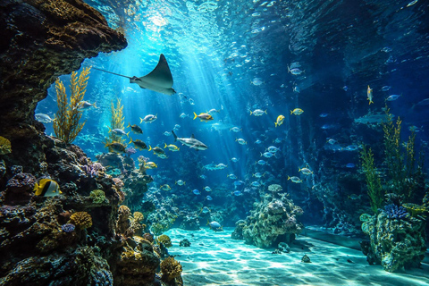 Mexico City: Acuario Michin Entry Ticket With Keeper Talks