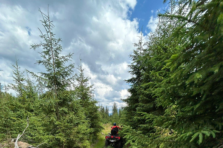 Zakopane: Snowmobile, Quad, or Buggy Tatra Mountains Tour