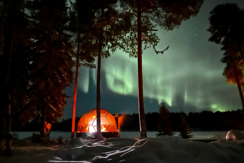 Rovaniemi Glass Igloo Dinner and Scooter ride PRIVATE