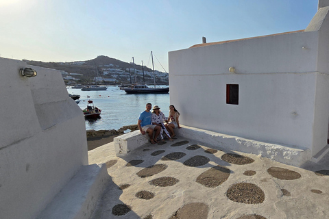 Tour particular de 4 horas pela ilha de Mykonos em microônibus de luxo