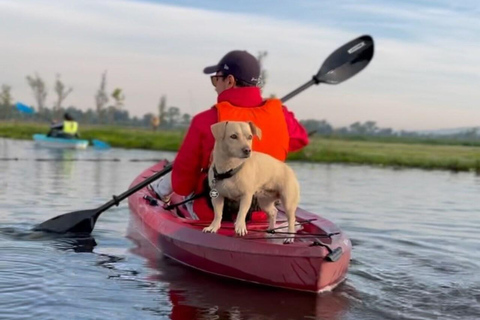 Xochimilco: Wycieczka kajakiem i obserwacja salamander